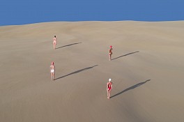 Brad Walls Biography